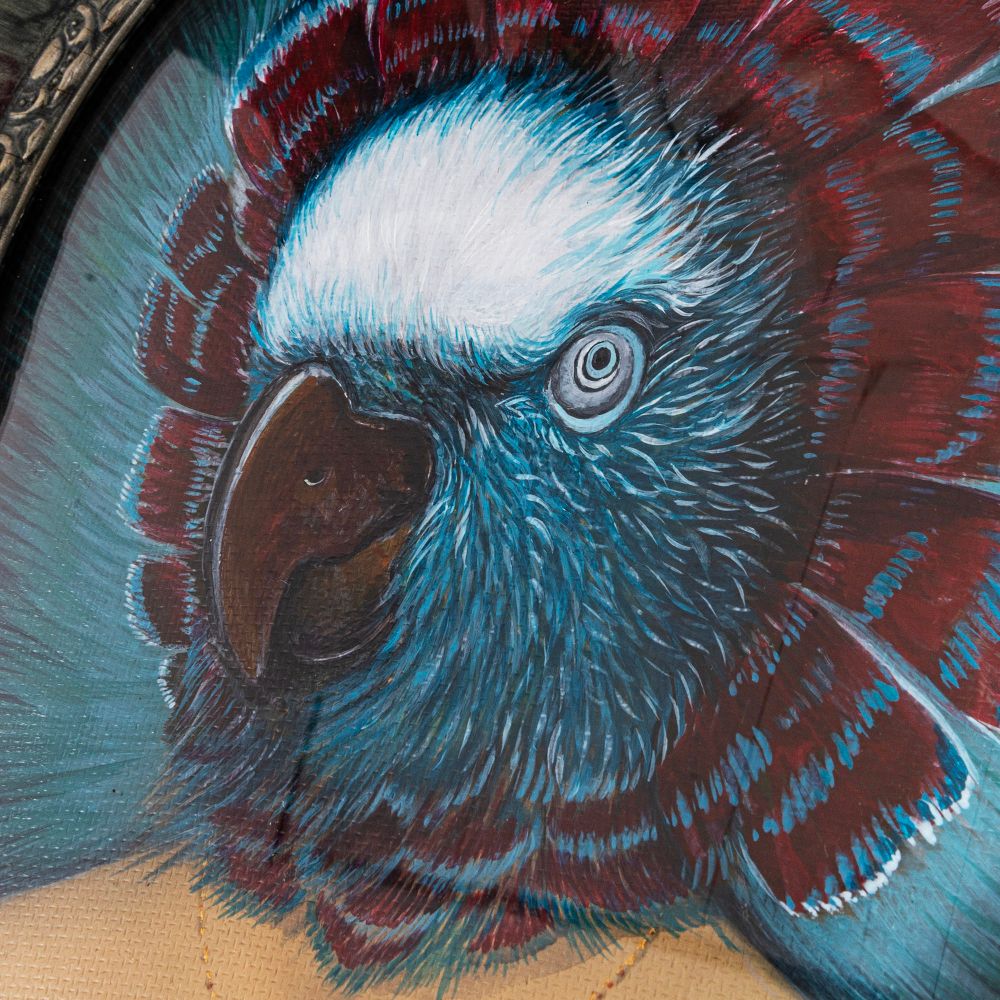 Quadro Lady Cacatua