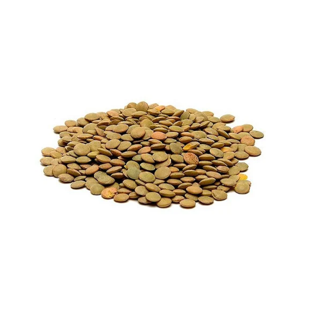 LENTILHA CANADENSE  100G