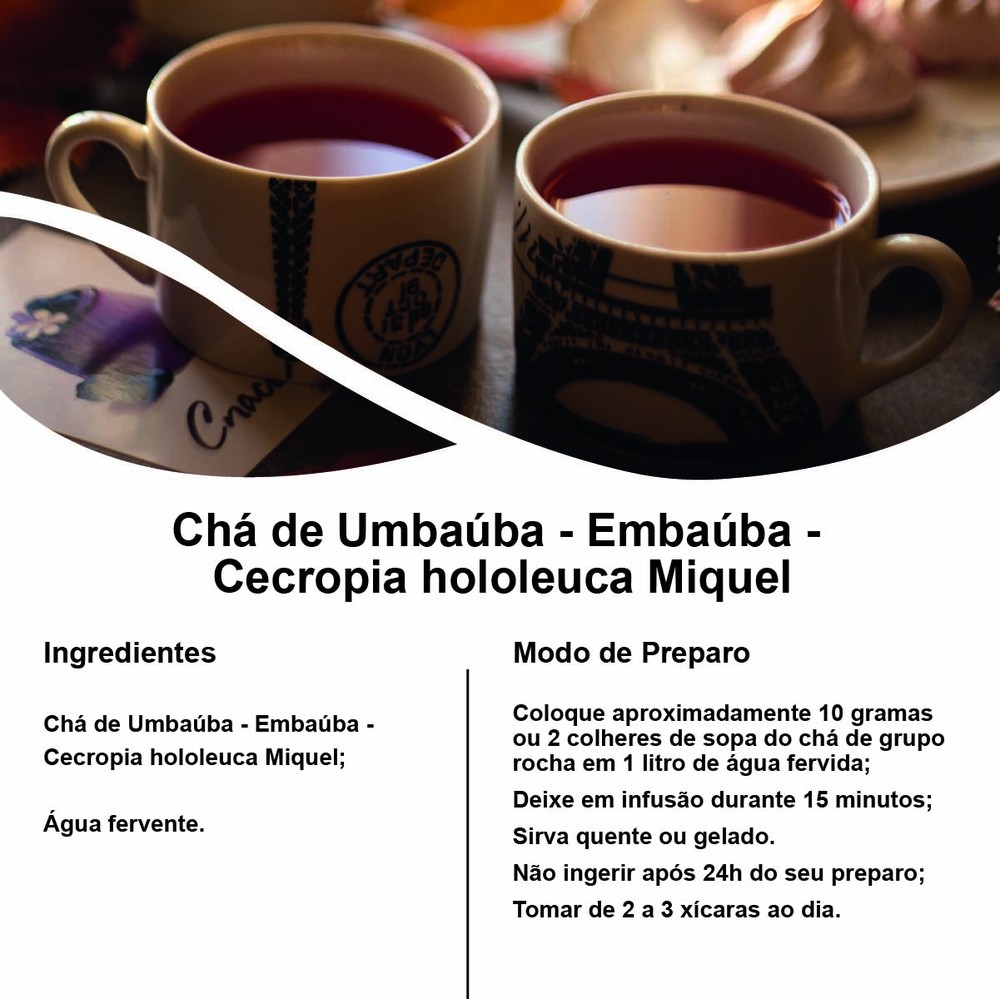 Chá De Umbaúba Embaúba Cecropia Hololeuca Miquel 50g Grupo Rocha Saúde 6958