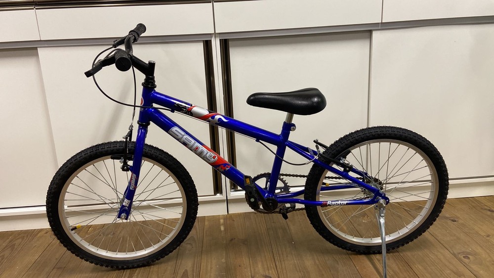 Bicicleta Infantil Aro 20 MTB Azul SAMY