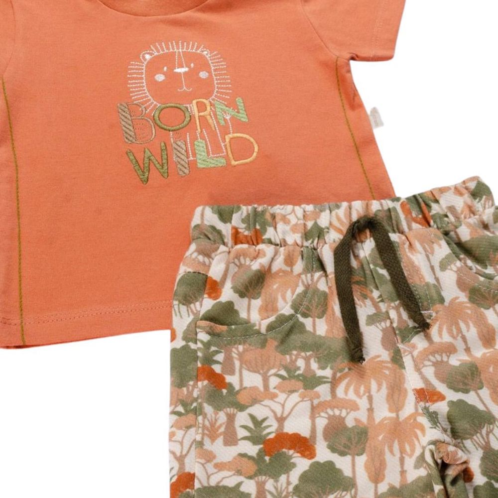 CONJUNTO CURTO BEBÊ MENINO LEÃOZINHO