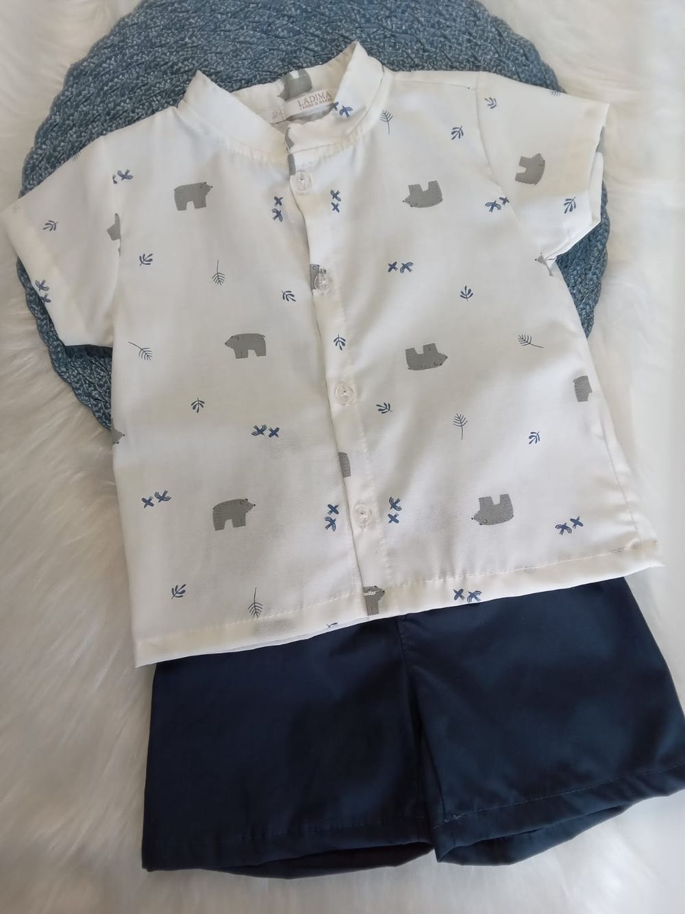 CONJUNTO URSINHO NA FLORESTA