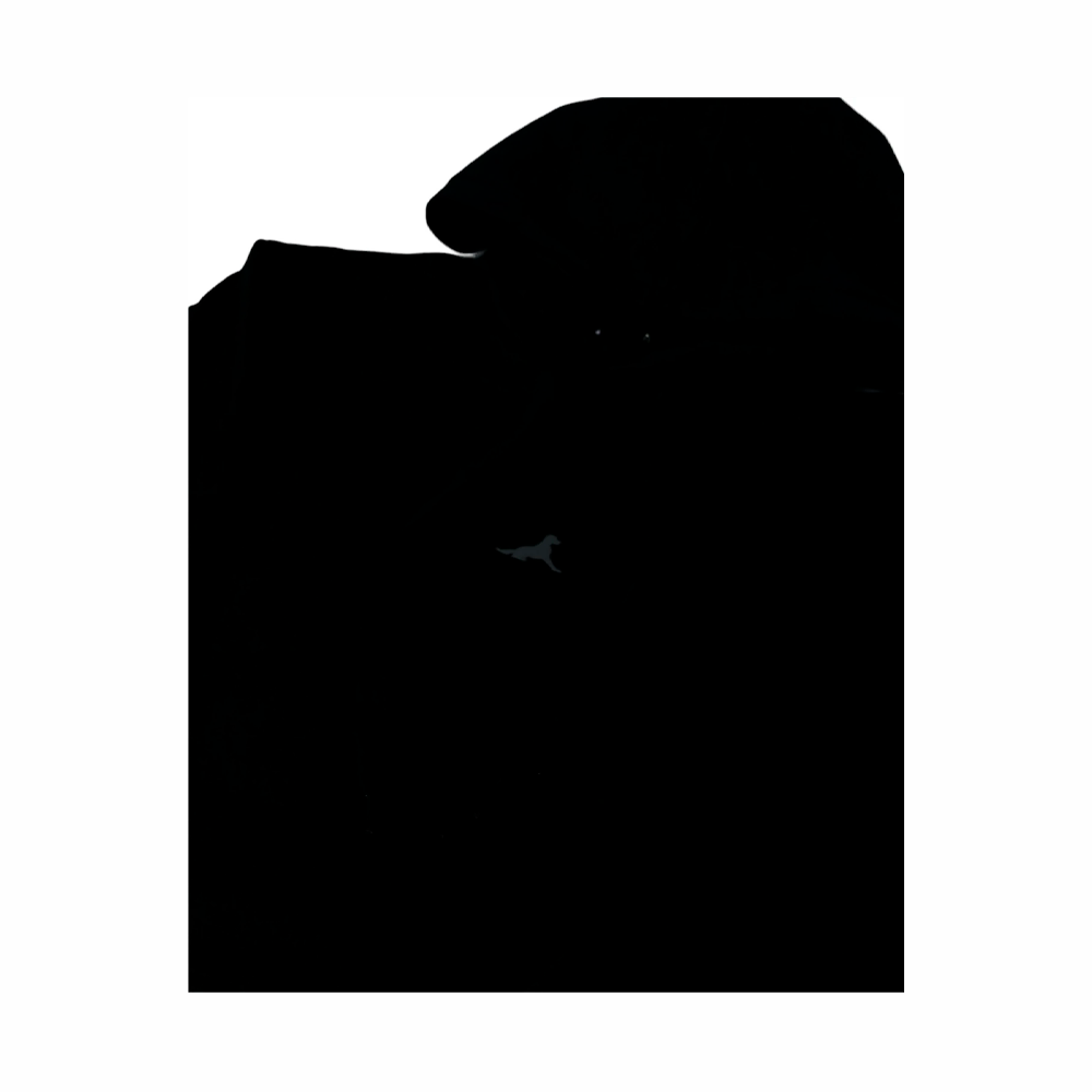 Moletom Matriz Canguru Dog Preto