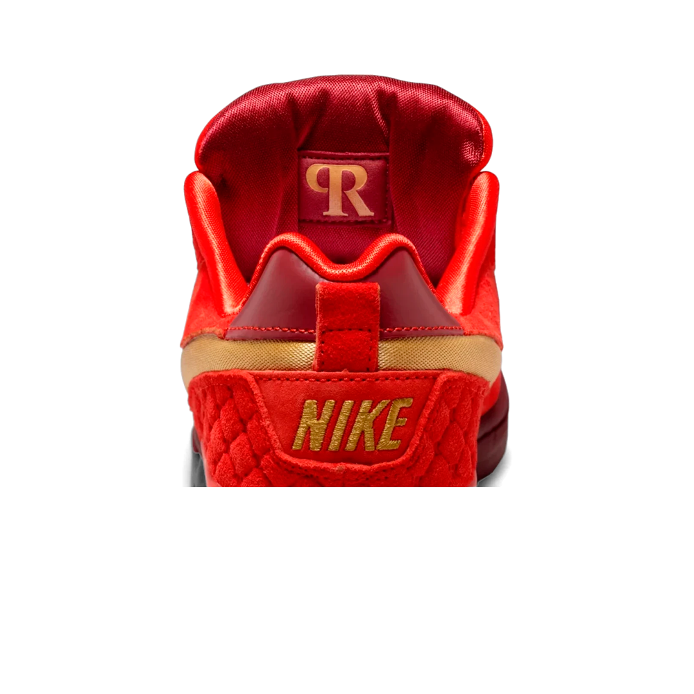 Tênis Nike SB Zoom Air Paul Rodriguez 1 