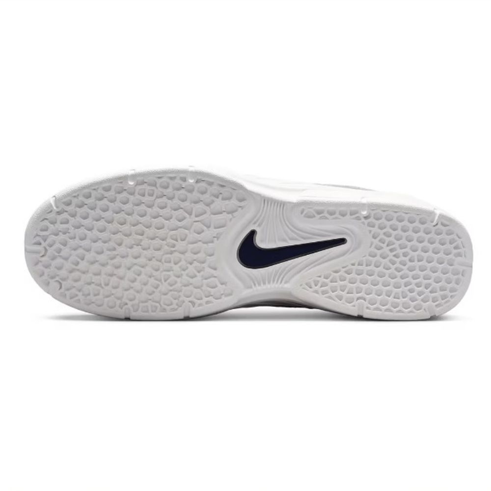 Tênis Nike SB Vertebrae 