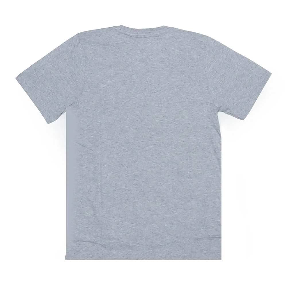 Camiseta Thrasher Juvenil Flame Cinza