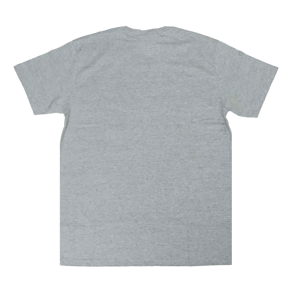 Camiseta Thrasher Juvenil Skate Mag Cinza