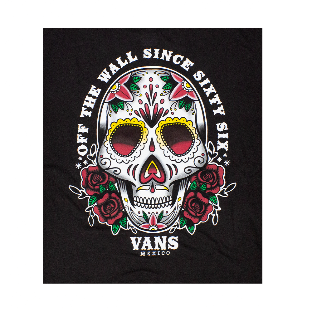 Camiseta Vans Juvenil Manga Longa Painted Skull