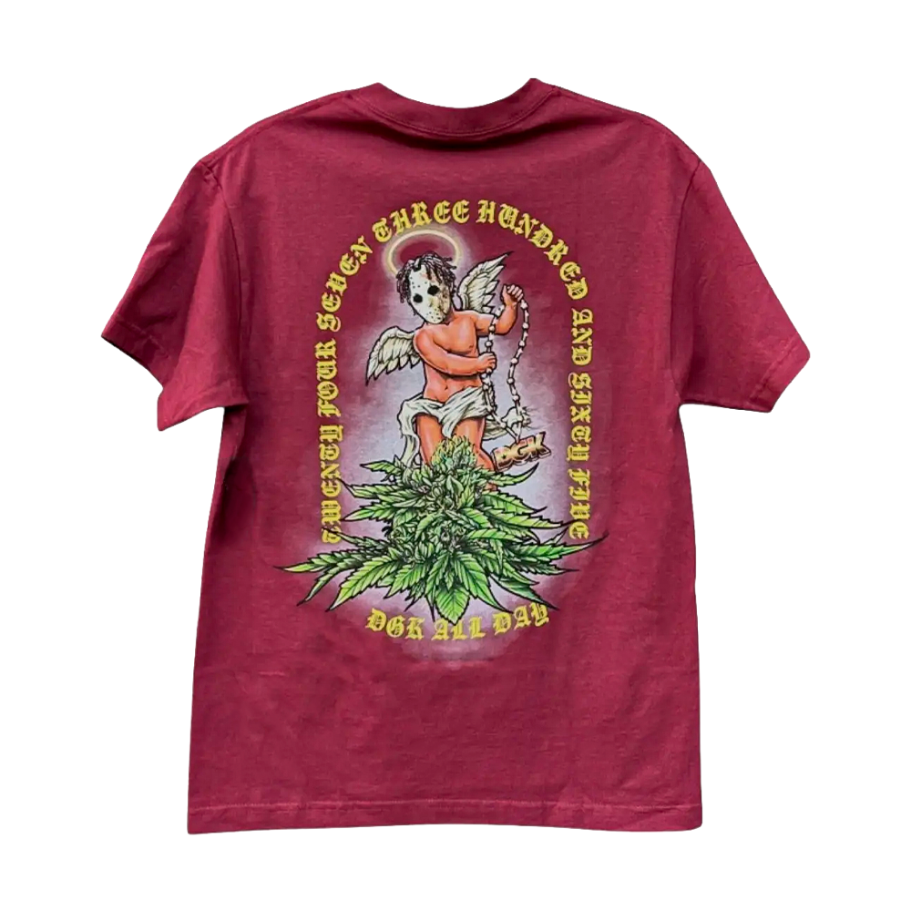 Camiseta DGK Eden Vinho