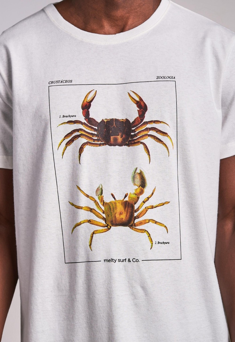 T-shirt Crustáceos