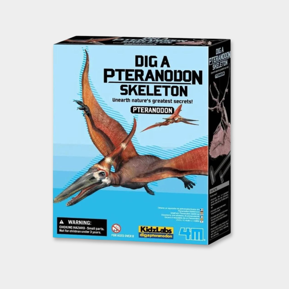 Kit de Escavação - Pteranodonte