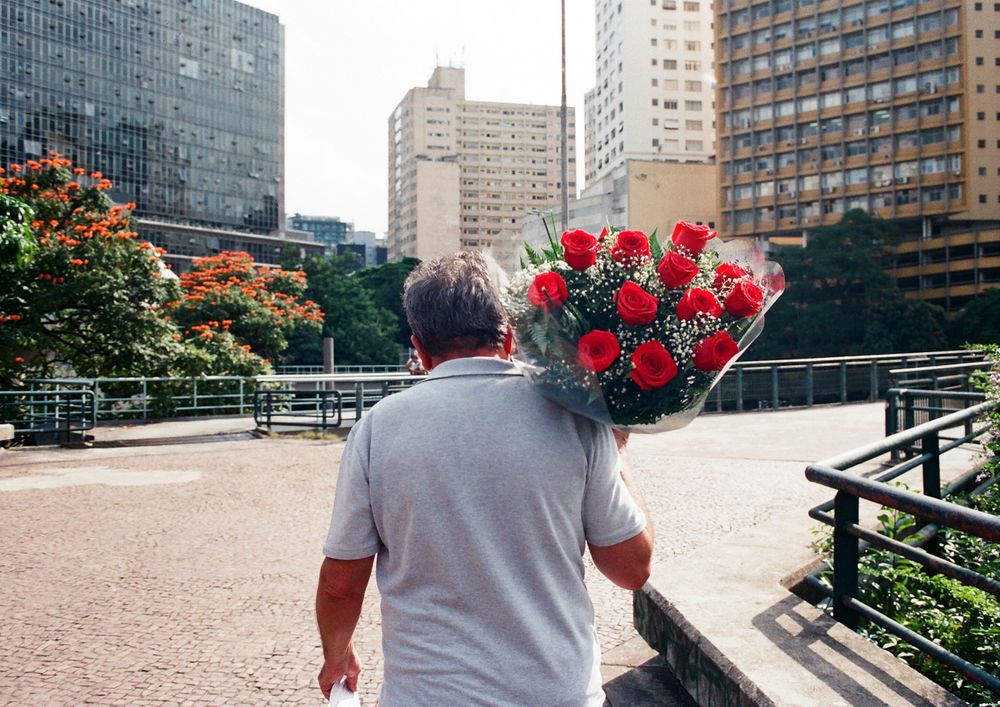 Doze Rosas