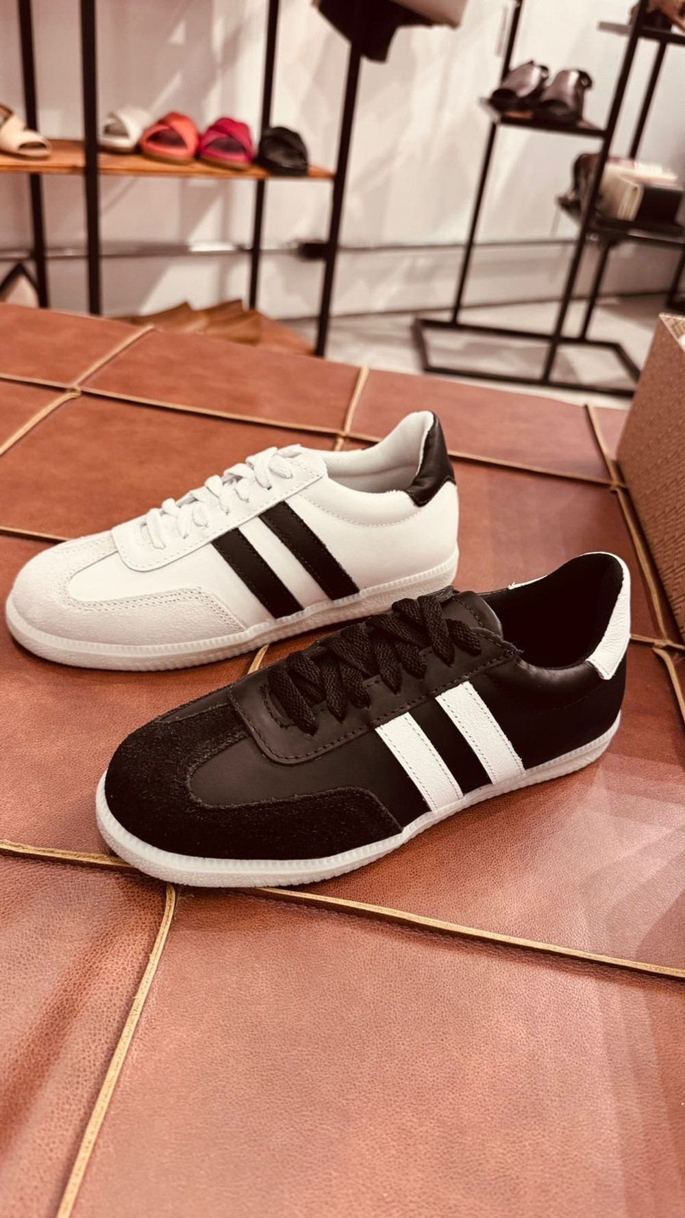 Tênis SB V2 Shoes