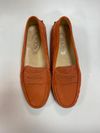 Sapato Tods
