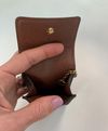 Case Louis Vuitton