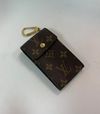 Case Louis Vuitton
