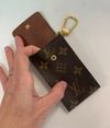 Case Louis Vuitton