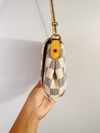 Bolsa Louis Vuitton Favorite