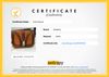 Bolsa Burberry