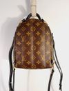 Mochila Louis Vuitton Palm Springs Mini