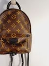 Mochila Louis Vuitton Palm Springs Mini