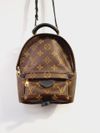 Mochila Louis Vuitton Palm Springs Mini