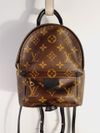 Mochila Louis Vuitton Palm Springs Mini