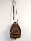Mochila Louis Vuitton Palm Springs Mini