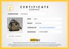 Bolsa Gucci