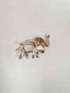 Broche Tiffany & Co.