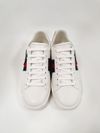 Tênis Gucci Ace