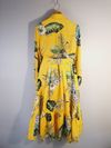 Conjunto Amissima