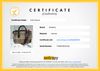 Bolsa Burberry Horseferry Check Ballingdon