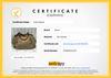 Bolsa Gucci Sukey Grande