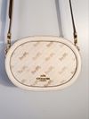 Bolsa Coach