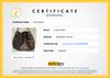 Bolsa Louis Vuitton Monogram Artsy MM