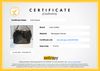 Bolsa Louis Vuitton Monogram Delightful MM