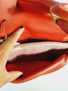 Bolsa Coach
