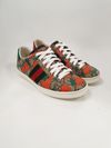 Tênis Gucci