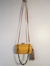 Bolsa Serpui