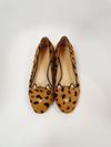 Sapatilha Charlotte Olympia Kitty Pony