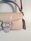Bolsa Coach Pillow Tabby