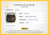 Bolsa Louis Vuitton Audacieuse