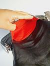 Bolsa Zadig & Voltaire Rock Leo