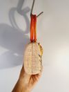 Bolsa Serpui