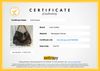 Bolsa Louis Vuitton Artsy GM