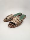 Flat Blue Bird Python