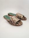 Flat Blue Bird Python
