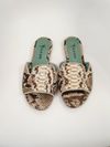 Flat Blue Bird Python