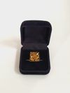 Anel pedras